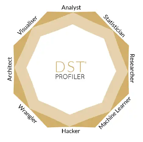 The DST Profiler is the first profiling system designed to help Data ...